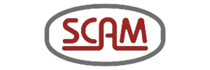 scam